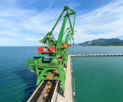 Tam Otomatik Kanguru Vinç